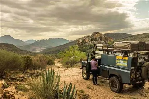 Мэгги в Африке: взлеты и падения жизни на дороге в Африке