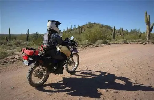 Westx1000: никогда не рано стать снежной птицей