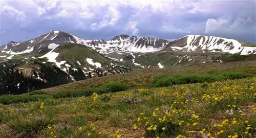 Один на один: национальные парки и национальные леса