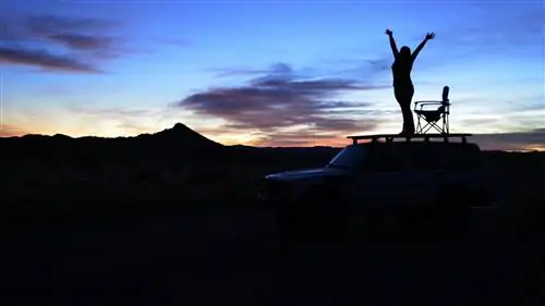 Багажник на крышу Eezi-Awn K-9 Expedition