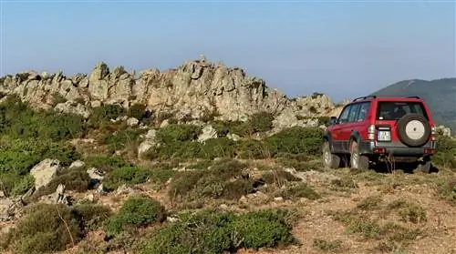 Лучше доверять невежде