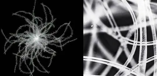 Сравнение: синтетический и водостойкий пух