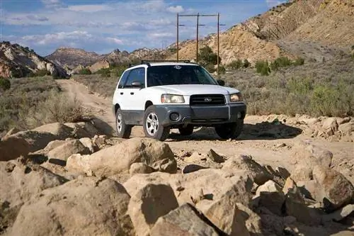 Бюджетный Overlander, Forester Часть I: Возможности
