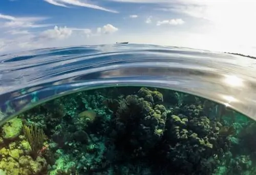 DCIM@GOPRO