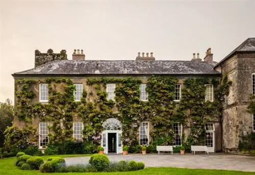 Миртл Аллен, Ирландия, ресторан Yeats Room, Shanagarry, в часе езды к востоку от Cork City, Ballymaloe House, ирландское движение Slow Food, Ballymaloe Cookery School, дом, увитый плющом, домики, коттеджи, ферма
