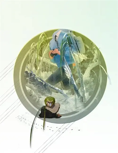 открытый-uri20180924-27909-kltpb3