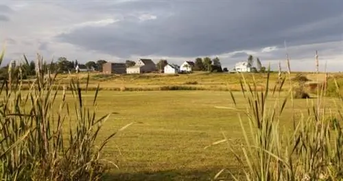 В штате Мэн кулинарная школа на ферме вернет вас к истокам