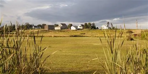 В штате Мэн кулинарная школа на ферме вернет вас к истокам