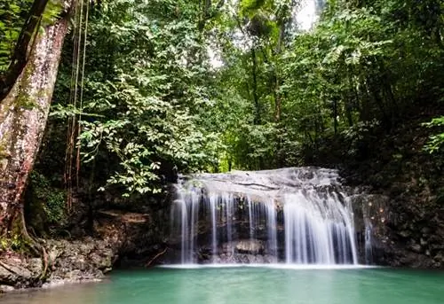 Водопад в лесу, Siete Altares, Ливингтон, Гватемала.