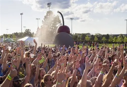 rtg2017_0722_gf Rock the Garden, 22 июля 2017 г. Фото Галена Флетчера для Центра искусств Уокера, Миннеаполис. Вид на общую толпу перед Главной сценой и Садовой сценой.