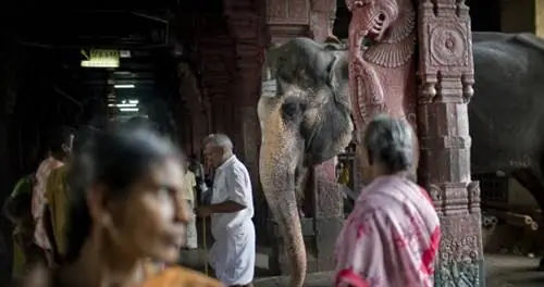 Может ли духовное путешествие в Индию исцелить разбитое сердце?