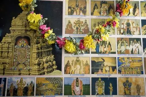 Плакат со статуями индийских богов в читальном зале нади.