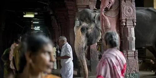 Может ли духовное путешествие в Индию исцелить разбитое сердце?