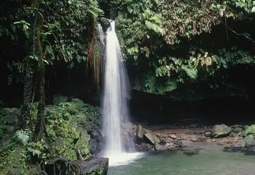 Водопад вливается в каменный бассейн. Один из главных каскадов. Изумрудный бассейн. Рядом с отелем Papillote Retreat.