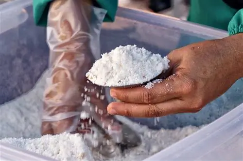 Haig Road Putu Piring по-прежнему делает традиционные малайские лепешки из рисовой муки.