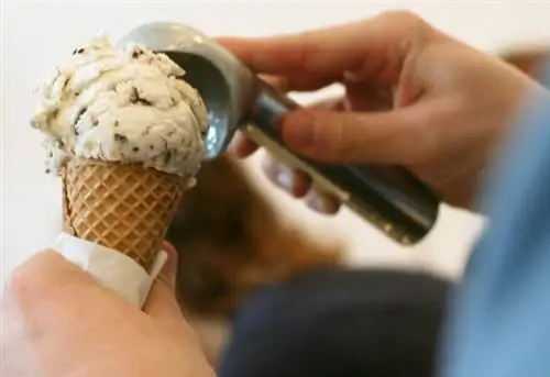 Торжественное открытие Молли Мун - Университетская деревня