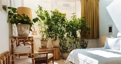 Путеводитель отельера и гурмана по Бейруту