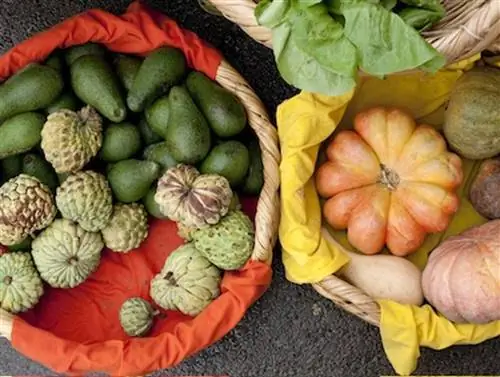 Музавак основал Souk el Tayeb, первый фермерский рынок в центре Бейрута.