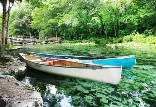Каноэ в Векива-Спрингс недалеко от Орландо добывает пресную воду из водоносного горизонта Флориды, Флорида, США.