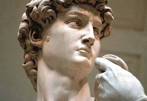 ПРЕССФОТО FI PRIMO INVIO DAVID DI MICHELANGELO ALLA GALLERIA DELL'ACCADEMIA