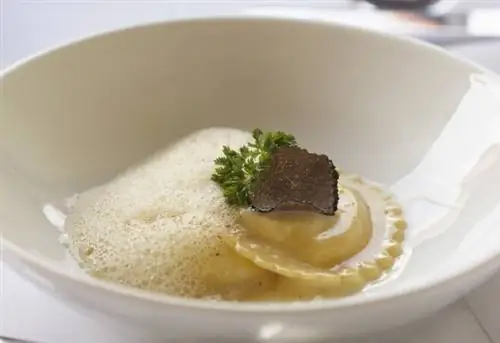 Утиные равиоли с кусочком трюфеля и соусом из пены