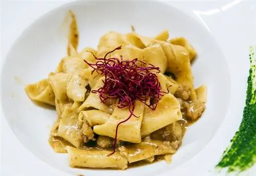 Фото / www.stipesurac.com