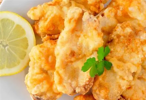 Испанское рапсовое ребозадо, побитое и жареное рыболовом LB