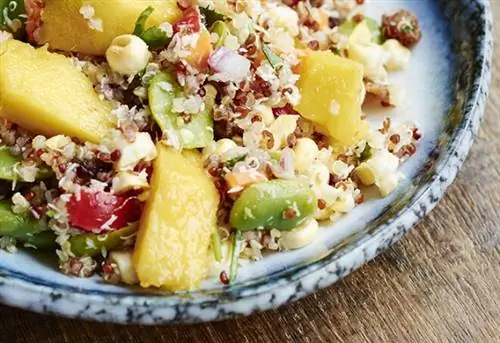Салат из киноа с манго, морковью, фасолью, красным перцем, красным луком, кукурузой, кокосом и изюмом