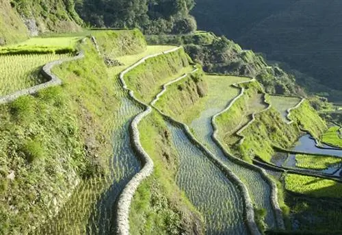 Банауэ грязевые рисовые террасы культуры Ифугао, объект всемирного наследия ЮНЕСКО, Кордильеры, Лусон, Филиппины, Юго-Восточная Азия, Азия