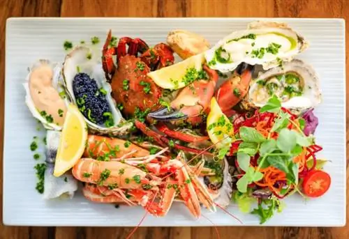 Cafe Fish - это закусочная у причала, где подают одни из самых свежих морепродуктов на острове Малл в Шотландии.