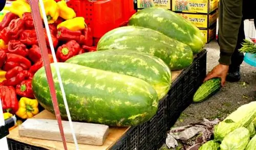 Алеманский фермерский рынок