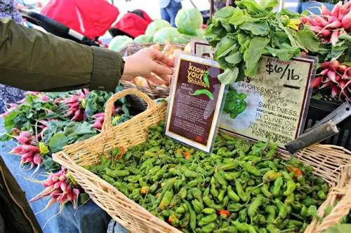 Фермерский рынок Форт-Мейсона