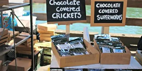 5 больших фермерских рынков Сан-Франциско