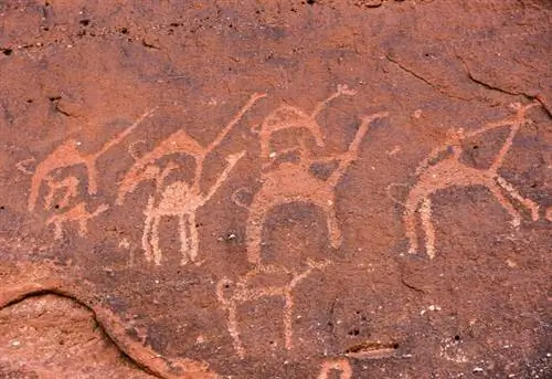 Анфашие доисторические надписи и петроглифы на каменной стене. Наскальные рисунки, изображающие караван верблюдов набатейского и тамудийского периодов в Вади-Рам, Иордания.