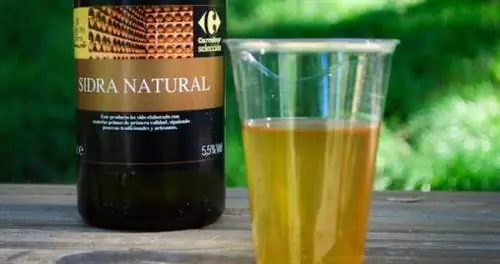 Где пить испанский сидр в Испании и за ее пределами