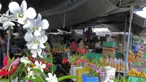 Фермерский рынок Хило