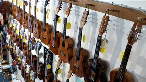 Гитары и укулеле Hilo