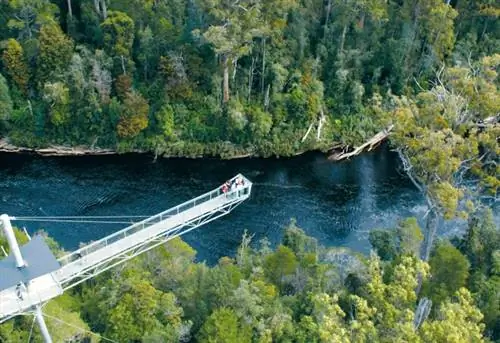 ИСТОЧНИК: Tahune Airwalk