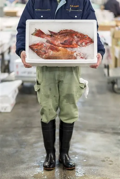 открытый-uri20171013-27730-1pqu87m