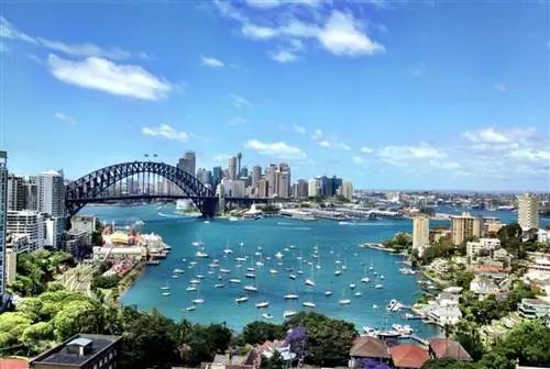 Сидней находится в верхней части списка посещений Булю.
