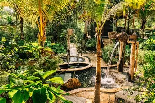 Spa Botánico на пляже Дорадо, Ritz-Carlton Reserve