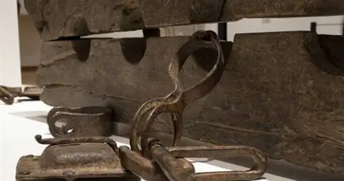 Новая выставка Рейксмузеума пристально смотрит на рабство