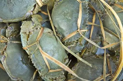 открытый-uri20210430-51-8cp72m