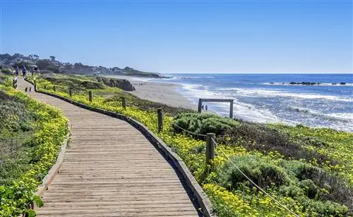 Несколько миль дощатой линии Moonstone Beach.