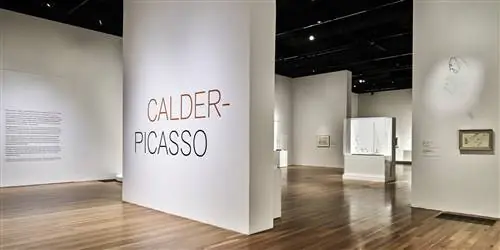 Крупная выставка «Колдер-Пикассо» прибывает в США
