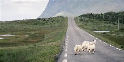 8 незабываемых путешествий по Европе