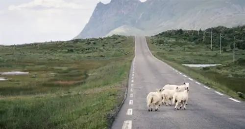 8 незабываемых путешествий по Европе