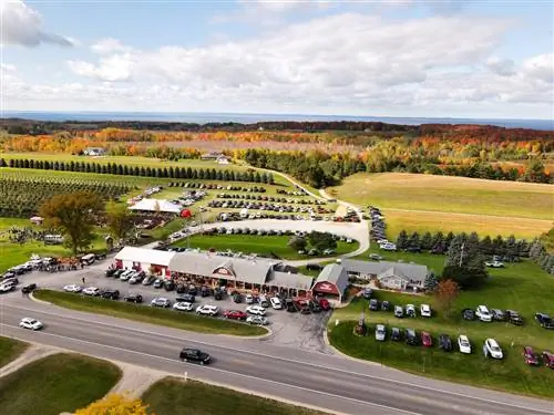 Приобретите вишенки для путешествий во Фриске.