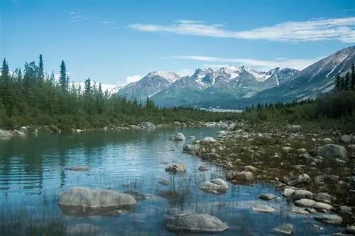 Как крупнейший национальный парк в стране, Врангель-Св. В Элиасе есть несколько рекордных гор, ледников и других достопримечательностей.