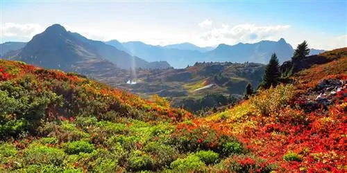 10 менее людных альтернатив самым популярным национальным паркам США